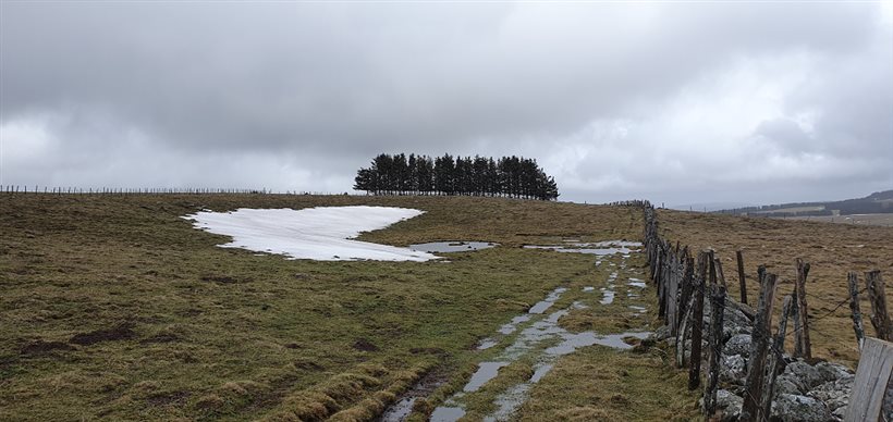 Trail en Aubrac au coeur de l'Aubrac Lozère Aveyron Cantal Marathon