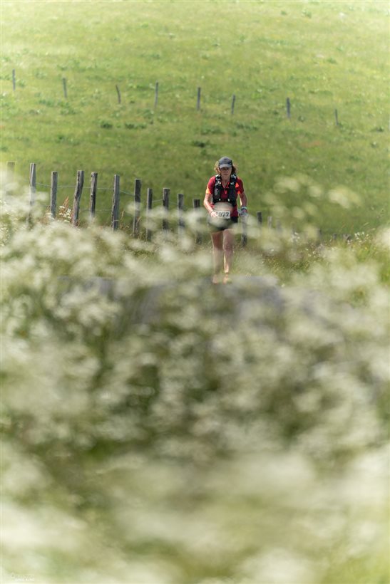Trail en Aubrac 2024