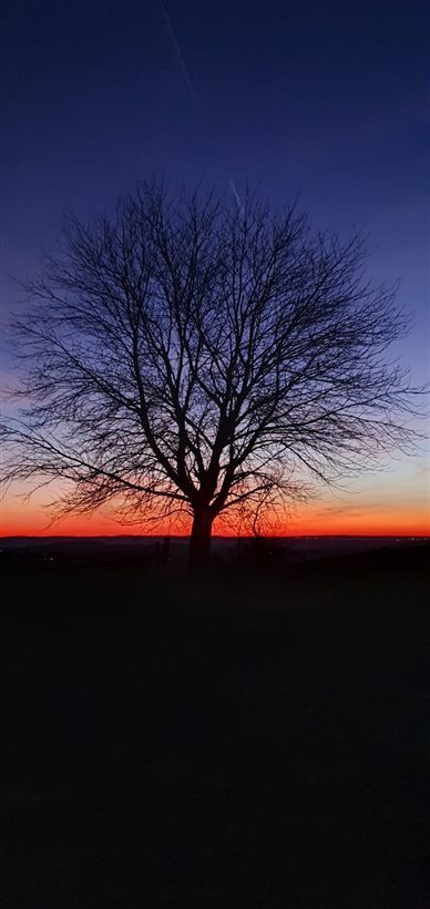 Trail en Aubrac Bonne année 2024