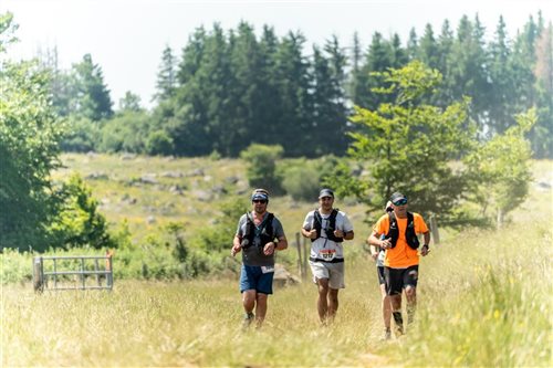 Marathon des Burons - Trail en Aubrac