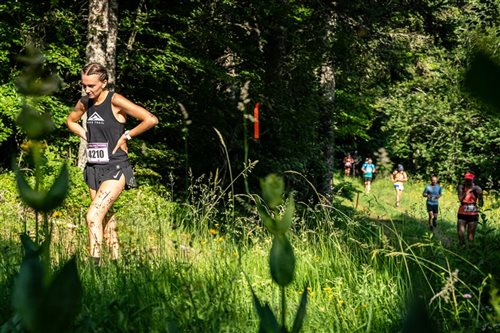 Trail des Fayards - KD Trail