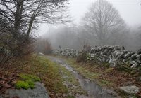 Eté comme hiver l'Aubrac est magique.