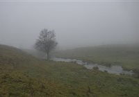 Eté comme hiver l'Aubrac est magique.