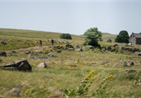 Trail en Aubrac au coeur de l'Aubrac Lozère Aveyron Cantal