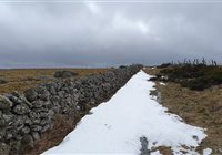 Trail en Aubrac au coeur de l'Aubrac Lozère Aveyron Cantal Marathon