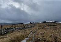 Trail en Aubrac au coeur de l'Aubrac Lozère Aveyron Cantal Marathon