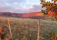 Trail en Aubrac Bonne année 2024