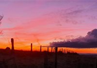 Trail en Aubrac Bonne année 2024