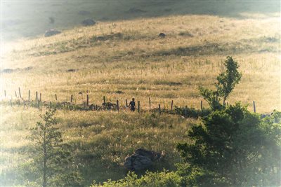 Aubrac Circus - Trail en Aubrac