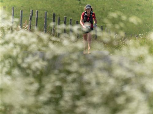 Trail en Aubrac 2024