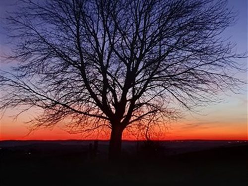 Trail en Aubrac, une nouvelle année
