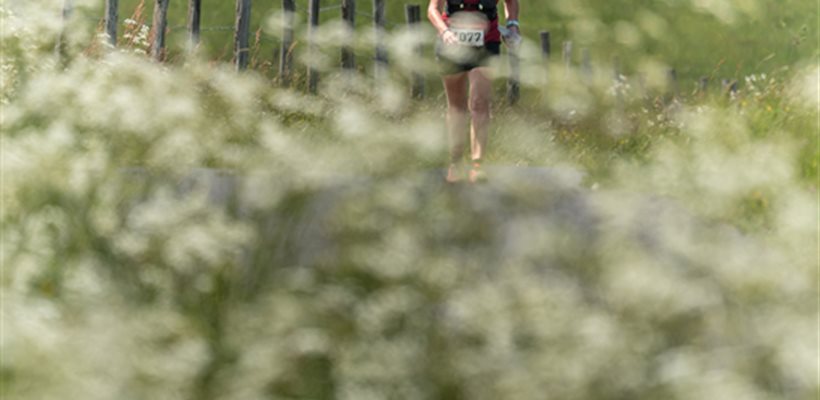 Trail en Aubrac 2024