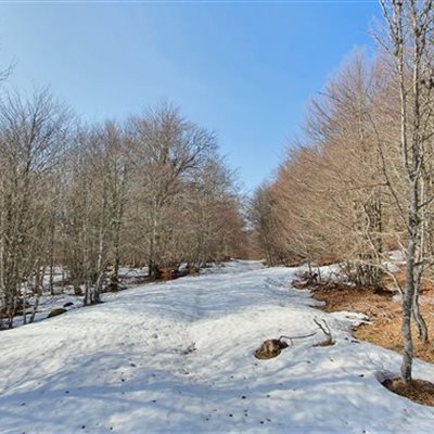 Version hivernale de Trail en Aubrac