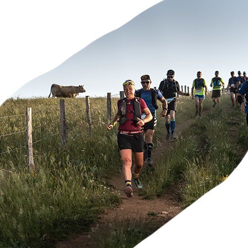 Trail en Aubrac - Nasbinals / Lozère