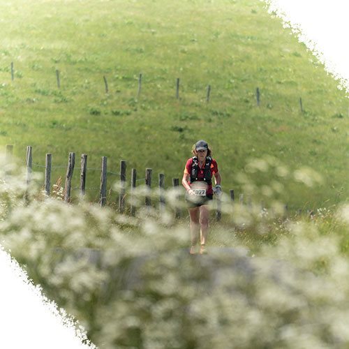 Trail en Aubrac - Lozère - Occitanie