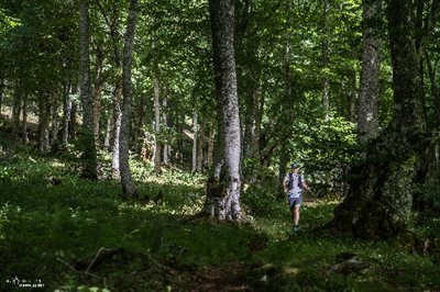 Trail des Fayards - KD Trail par Trail en Aubrac