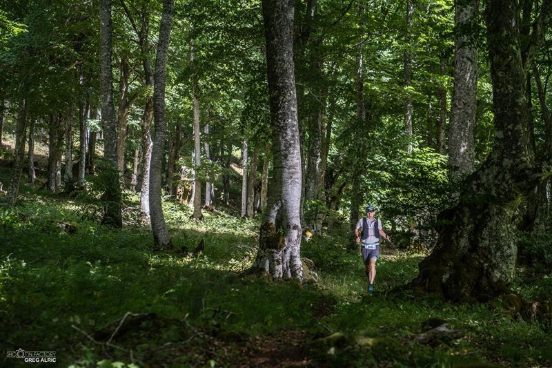 Trail des Fayards - KD Trail